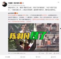 云吞爆料丁海棠视频下载,云吞爆料视频下载背后的故事